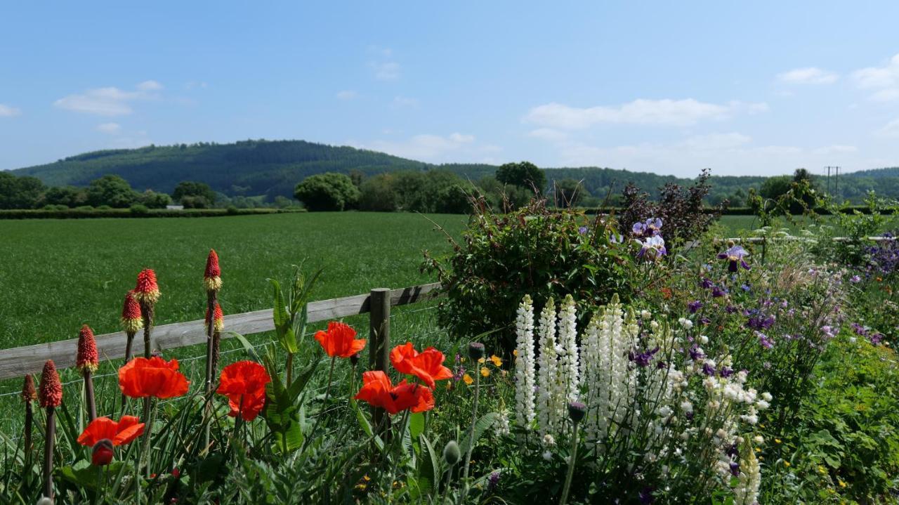 Country Cottage With Far Reaching Views Presteigne Εξωτερικό φωτογραφία